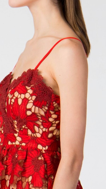 champagne and strawberry lace dress Champagne & Strawberry | Dresses | Champagne Strawberry Lace Dress
